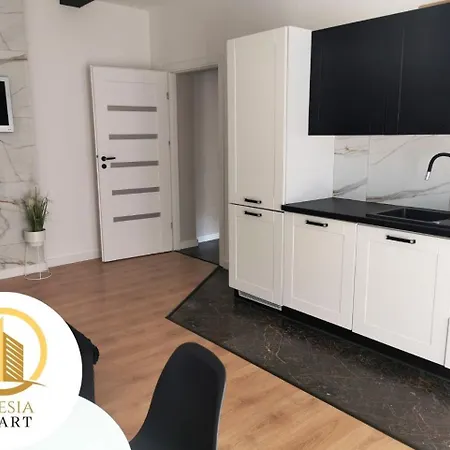 Skłodowskiej 11 Apartament